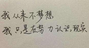 为了一句话,奋斗者的故事