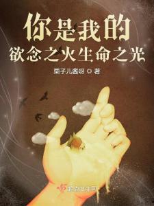 我的生命之光,探寻生命奇迹的璀璨篇章