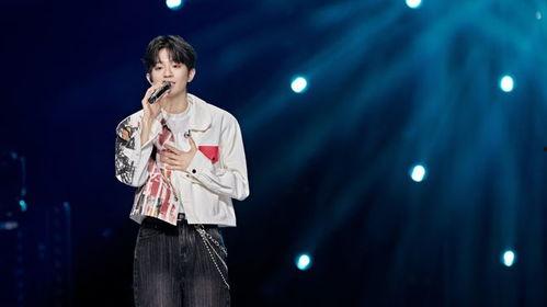 百分百歌手,音乐梦想的舞台竞技之旅